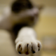 Illustration for article titled Shooting Challenge: Bokeh, Gallery 3